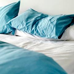 Punaises de lit : 11 % des foyers français infestés récemment (conseils)